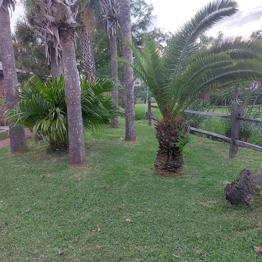 Local garden landscaping in Panama City, FL - Anthony Scott Lawn Service