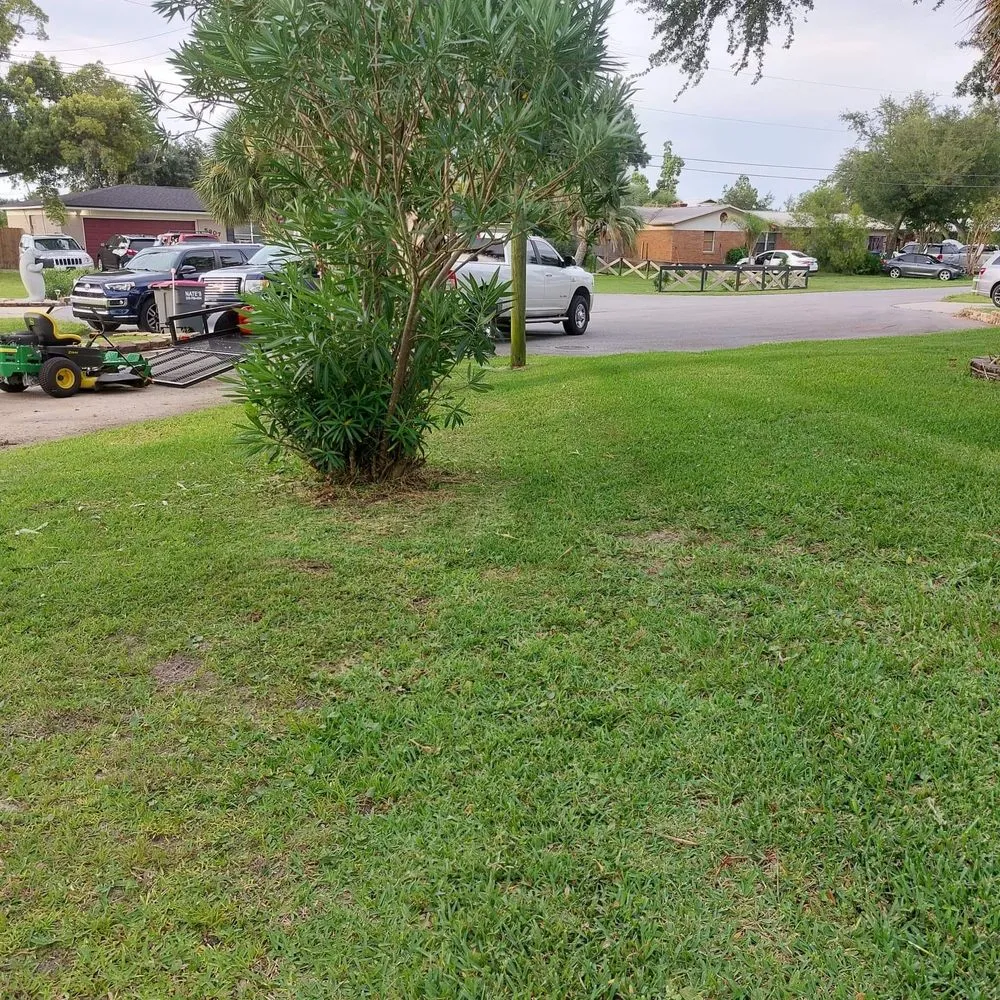 Reliable yard cleanup service in Panama City, FL by Anthony Scott Lawn Service