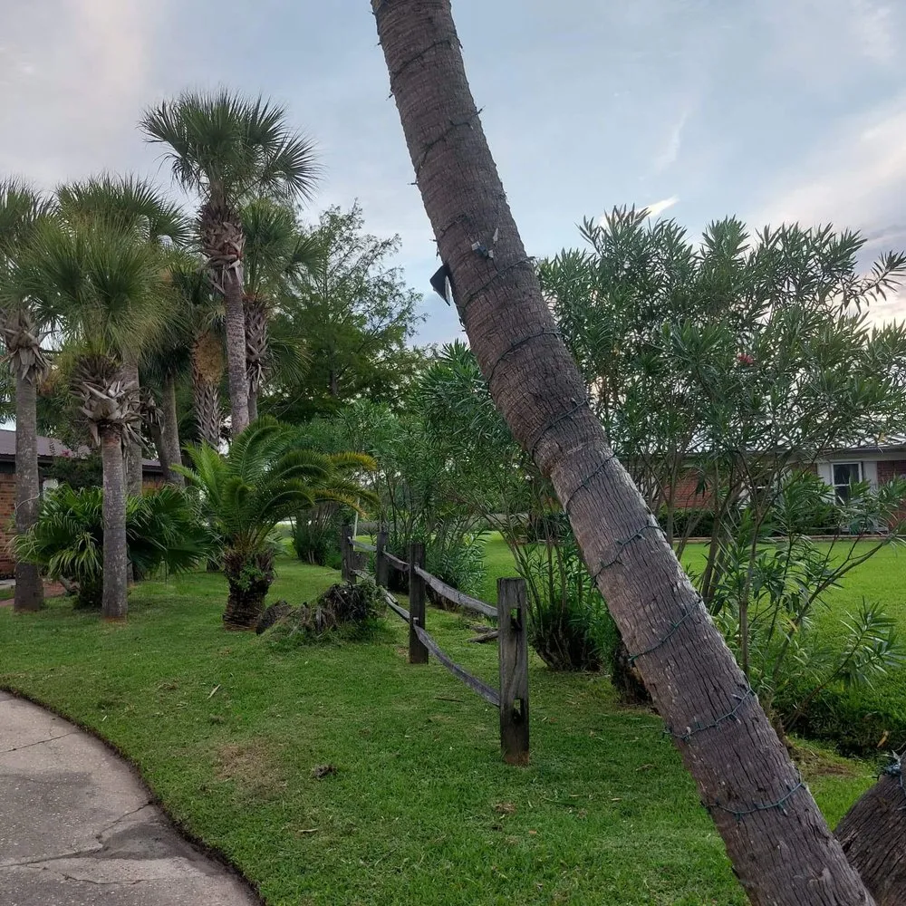 Professional outdoor landscaping near you in Panama City, FL by Anthony Scott Lawn Service