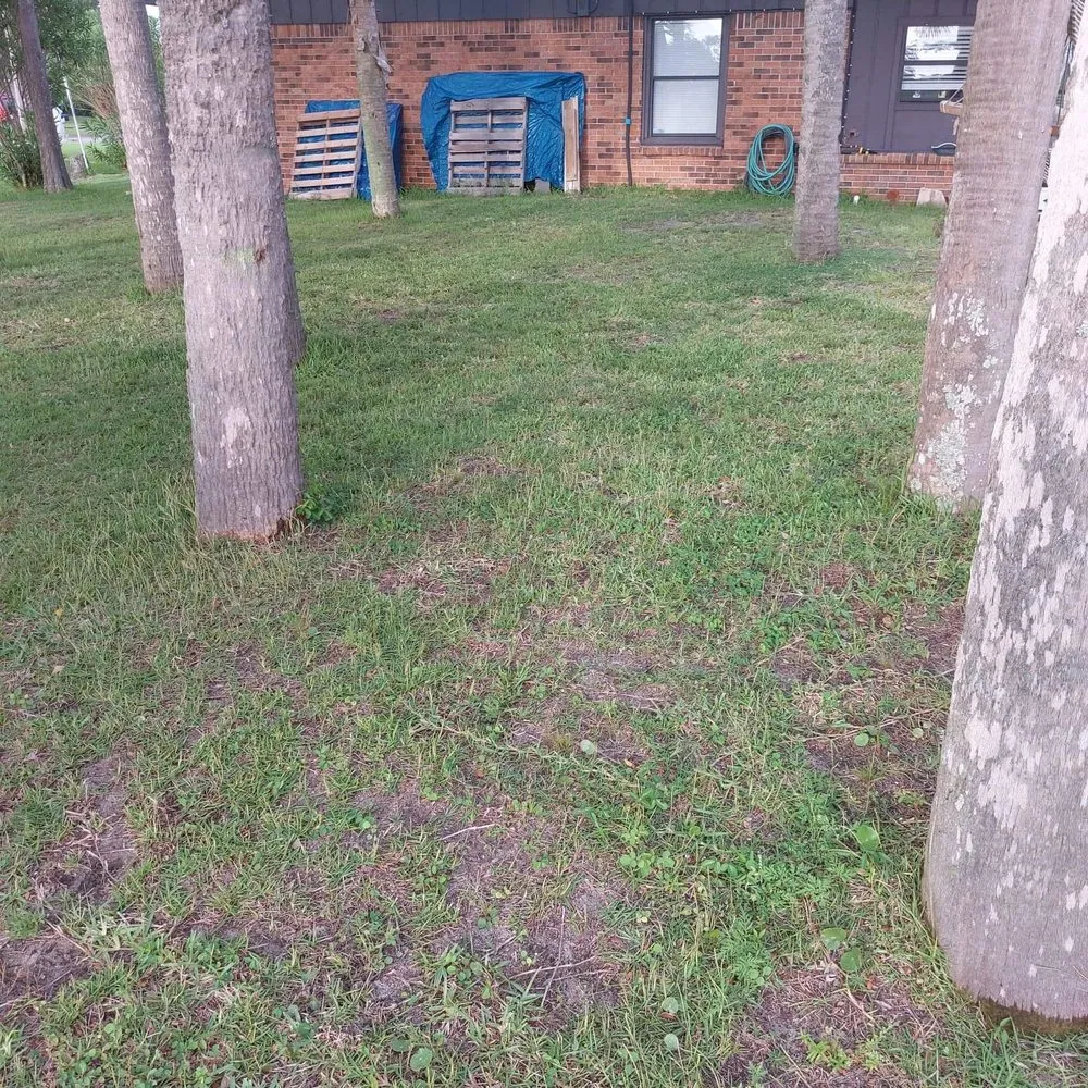 Expert residential landscaping in Panama City, FL - Anthony Scott Lawn Service