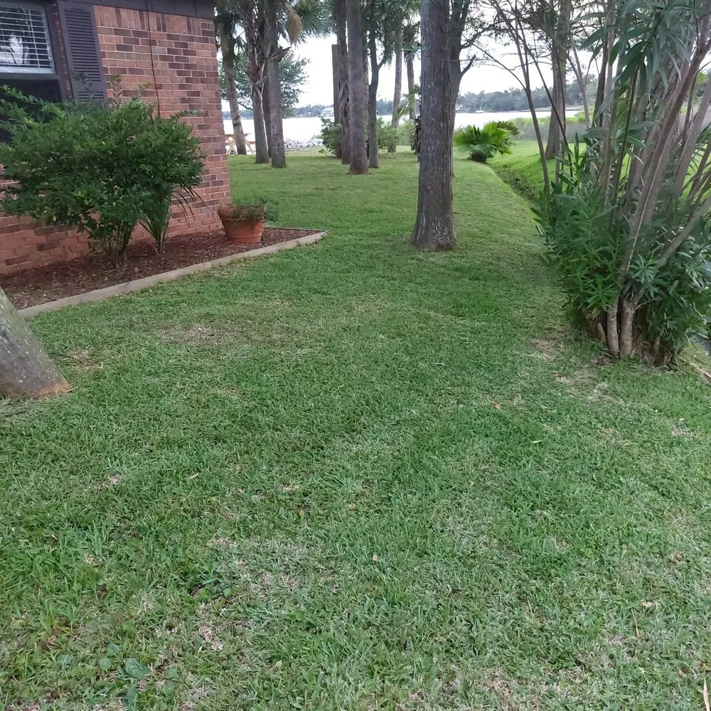Top-rated yard maintenance experts serving Panama City, FL - Anthony Scott Lawn Service