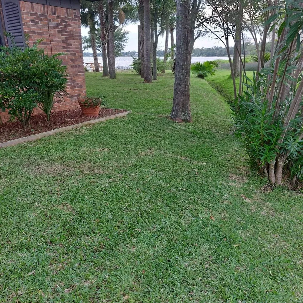 Reliable yard cleanup service in Panama City, FL by Anthony Scott Lawn Service