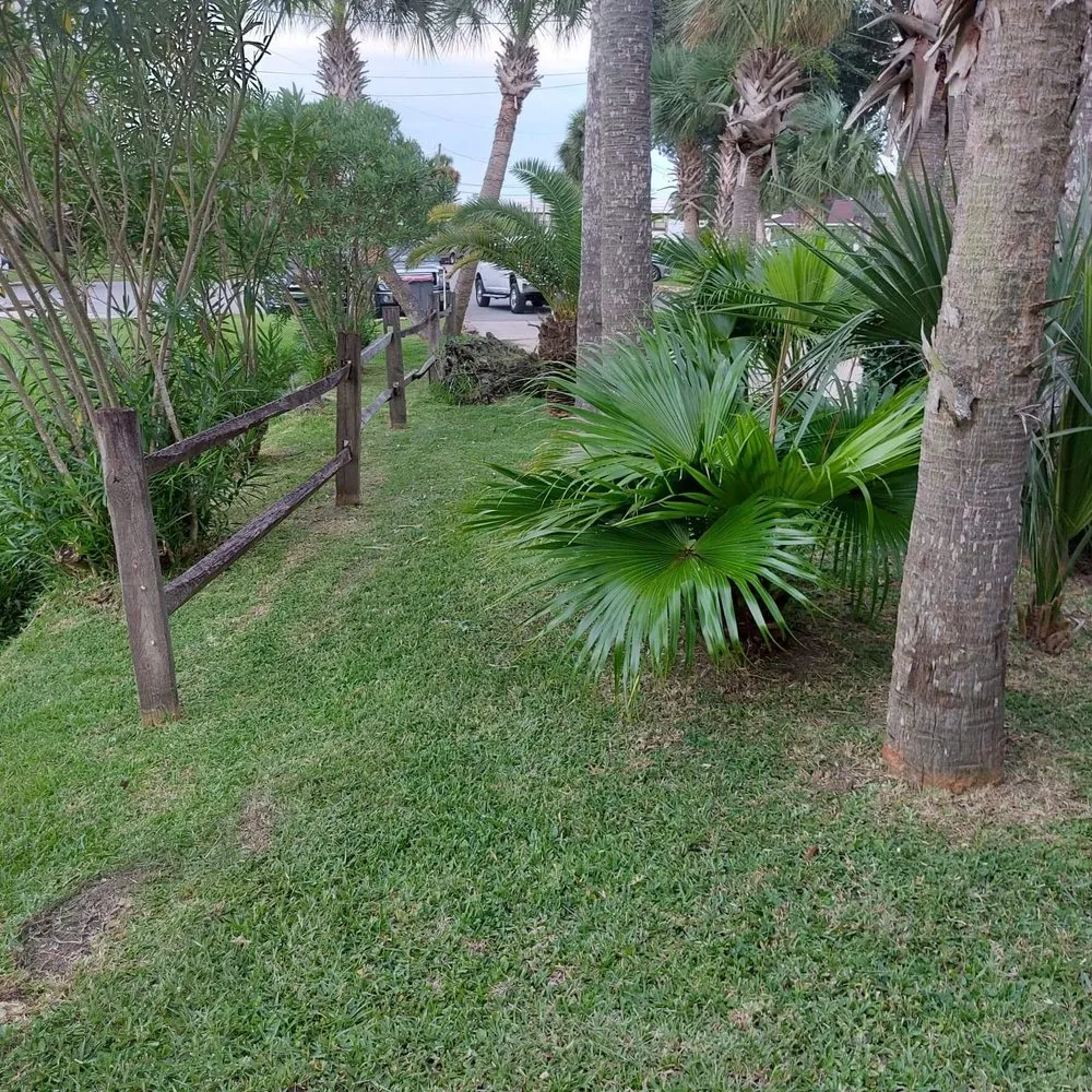 Top-rated garden landscaping experts serving Panama City, FL - Anthony Scott Lawn Service