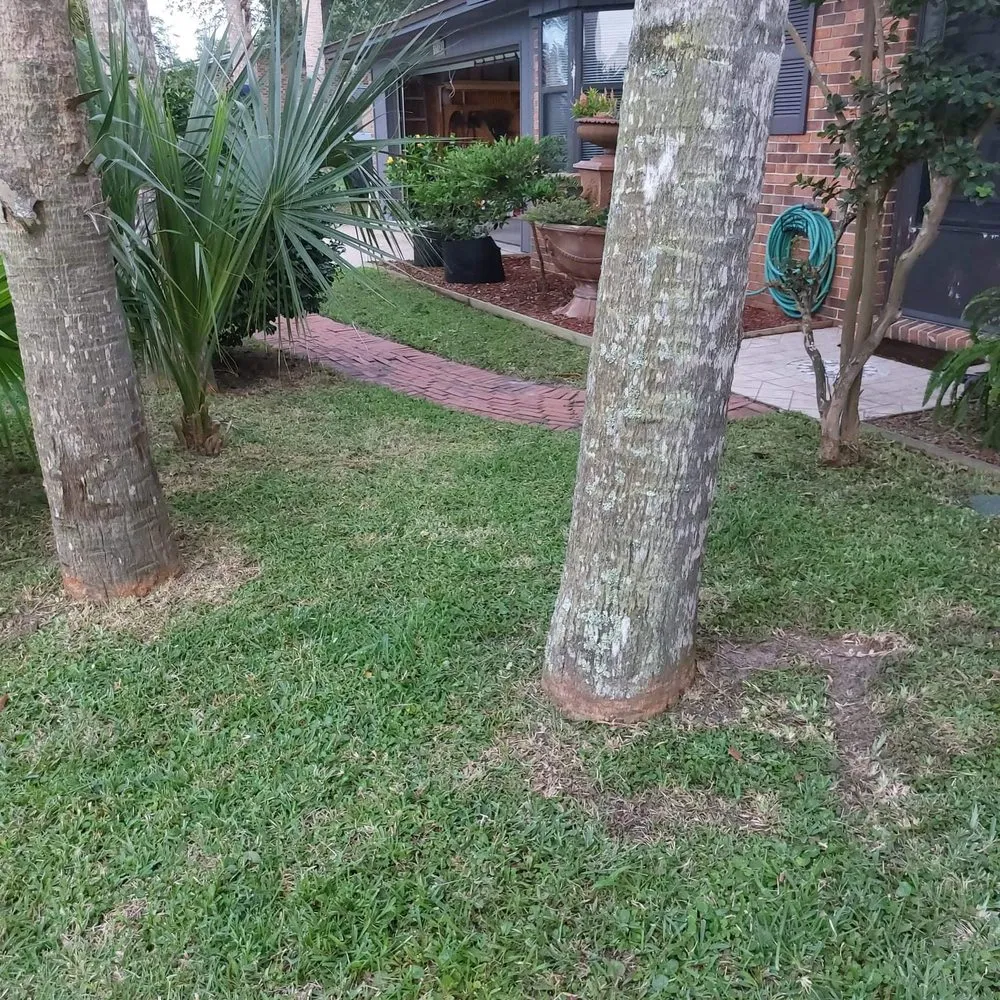 Reliable lawn care service experts serving Panama City, FL - Anthony Scott Lawn Service