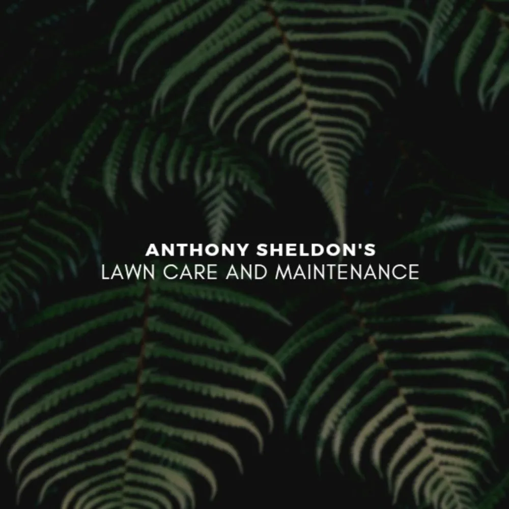 Local landscaping services experts serving Little Valley, NY - Anthony Sheldon's