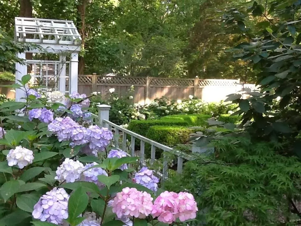 Expert landscaping services in New Hope, PA - Anthony Soule Landscape Design