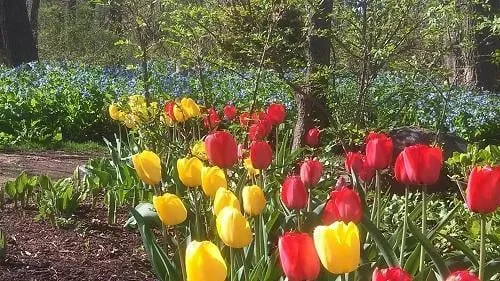 Reliable landscaping services for residential properties in New Hope, PA by Anthony Soule Landscape Design