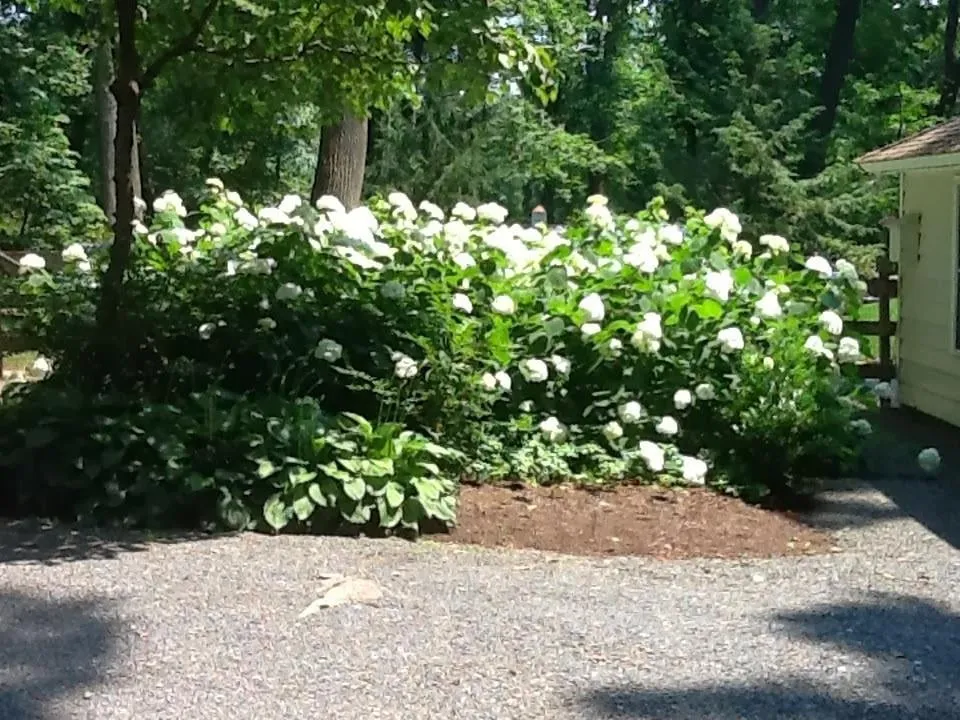 Reliable lawn mowing service for year-round maintenance in New Hope, PA by Anthony Soule Landscape Design