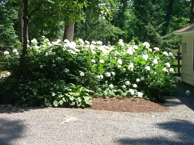 Professional residential landscaping experts serving New Hope, PA - Anthony Soule Landscape Design