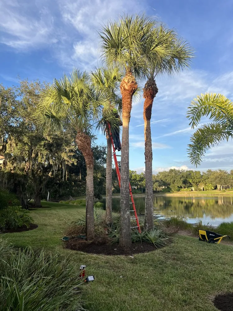 Reliable residential landscaping experts serving Sarasota, FL - Anthony The Landscaper