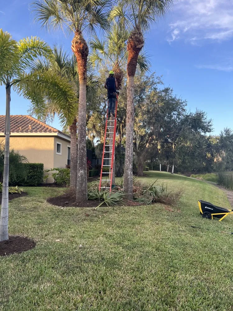 Professional garden landscaping in Sarasota, FL - Anthony The Landscaper