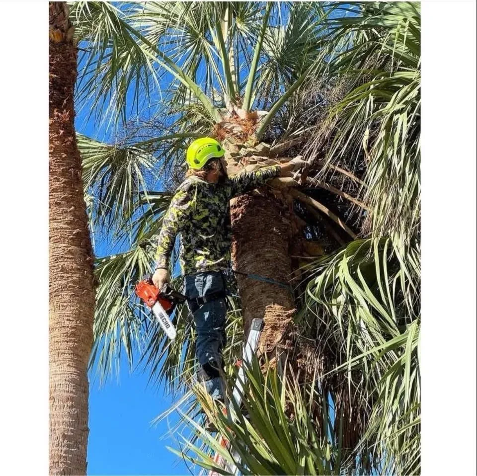 Trusted lawn care service in Sarasota, FL - Anthony The Landscaper