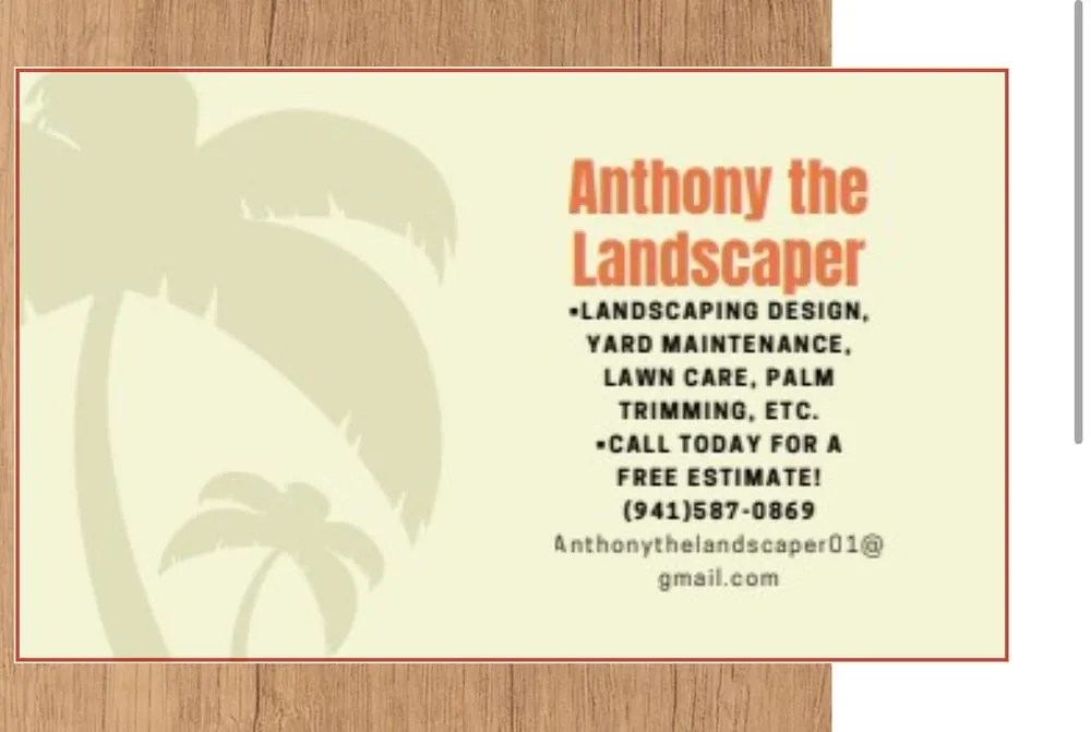 Expert landscaping services in Sarasota, FL - Anthony The Landscaper