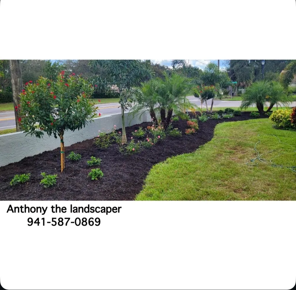 Reliable residential landscaping for residential properties in Sarasota, FL by Anthony The Landscaper