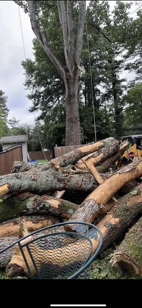 Expert outdoor landscaping experts serving Emerson, GA - Anthony tree service