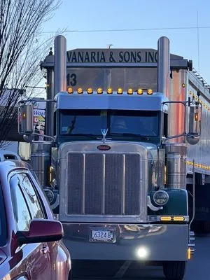 Anthony Vanaria & Sons Landscaping Logo