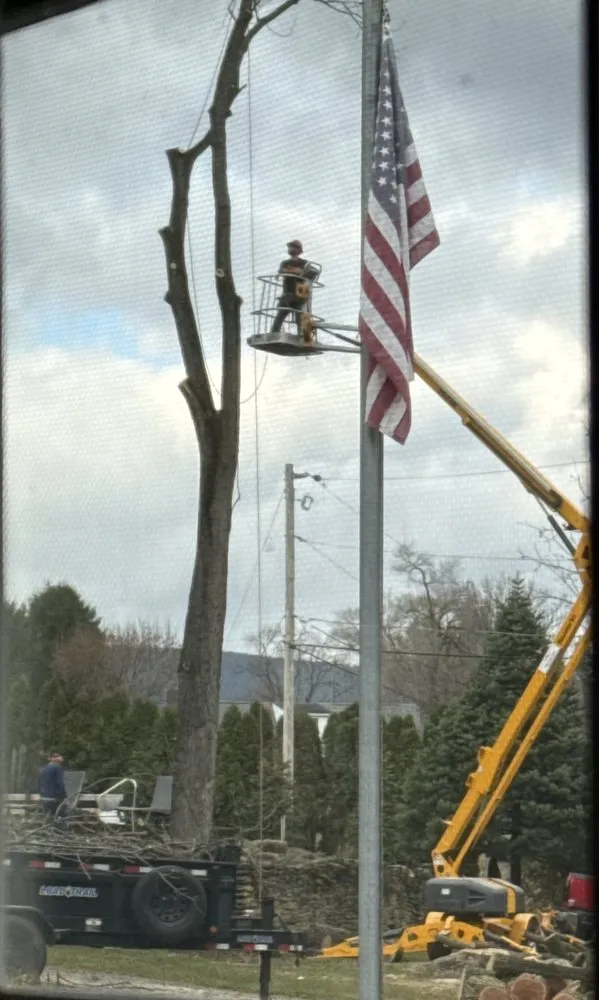 Local outdoor landscaping for outdoor upgrades in Reading, PA by Anthonys Arbor Care
