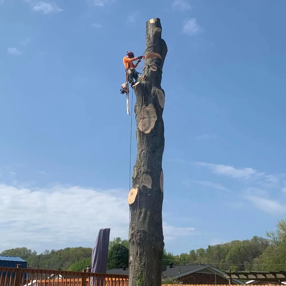 Custom landscape design in Reading, PA by Anthonys Arbor Care