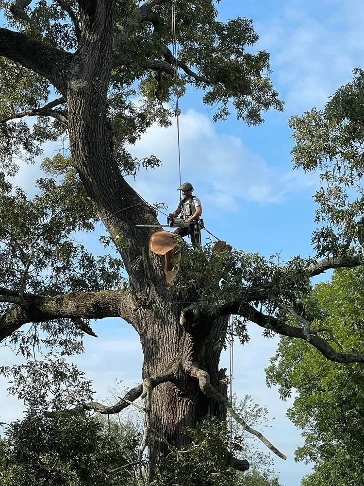 Professional garden landscaping in Reading, PA by Anthonys Arbor Care