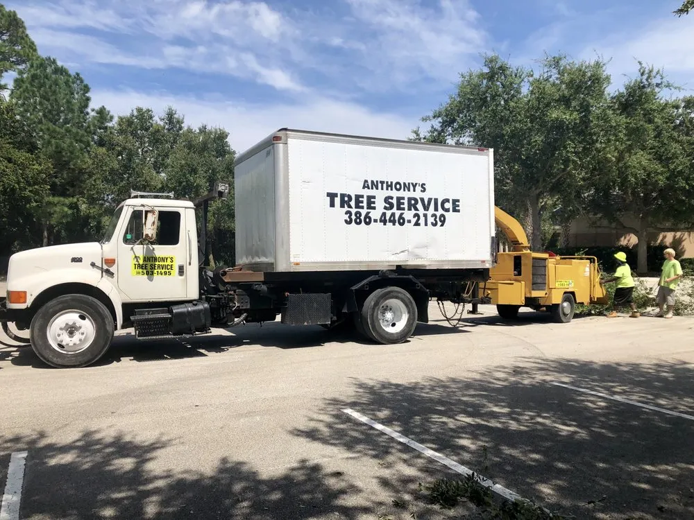 Expert landscaping services for homes in Flagler Beach, FL by Anthony's Bobcat & Tree Service