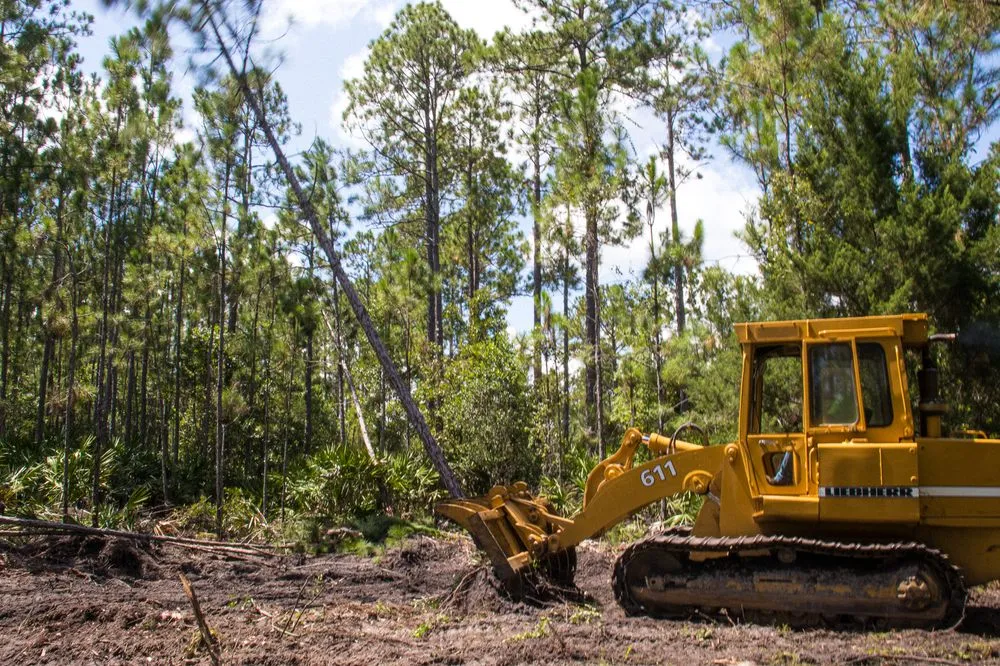 Local yard cleanup service for residential properties across Flagler Beach, FL - Anthony's Bobcat & Tree Service