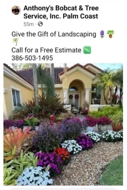 Local lawn care service in Flagler Beach, FL - Anthony's Bobcat & Tree Service