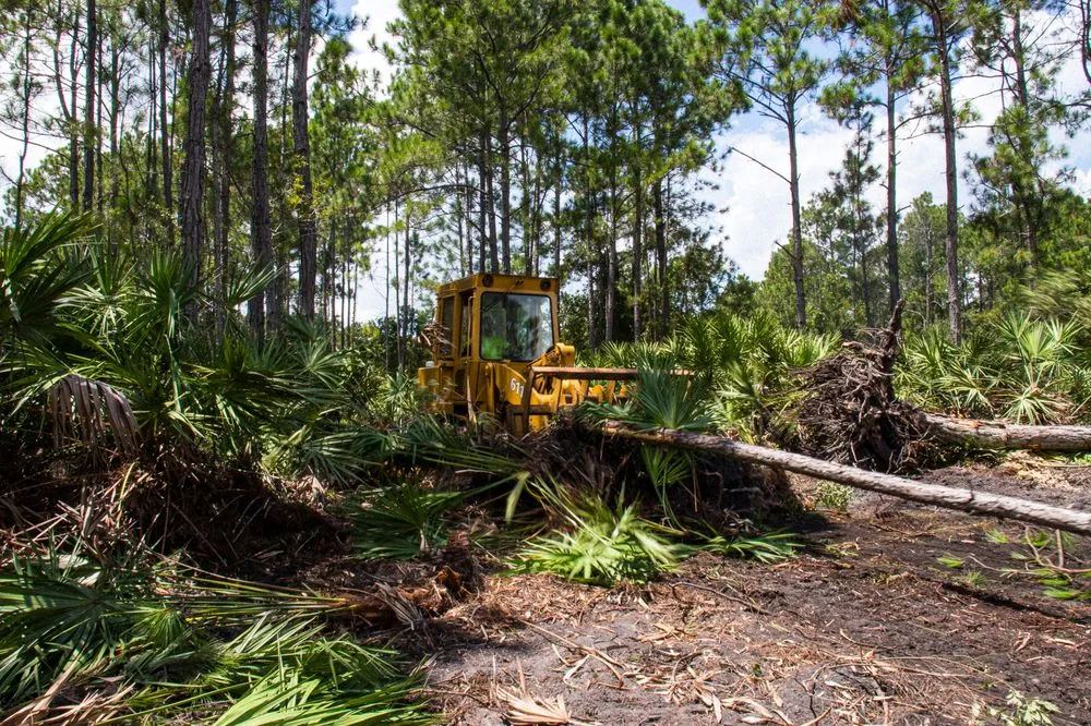 Local garden landscaping in Flagler Beach, FL by Anthony's Bobcat & Tree Service