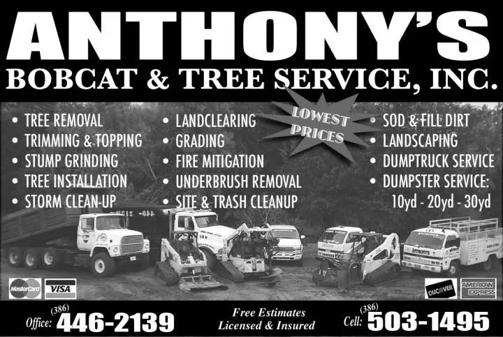 Top-rated residential landscaping experts serving Flagler Beach, FL - Anthony's Bobcat & Tree Service