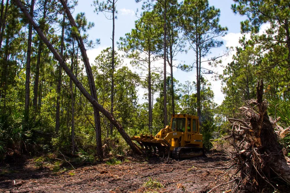 Expert garden landscaping in Flagler Beach, FL - Anthony's Bobcat & Tree Service