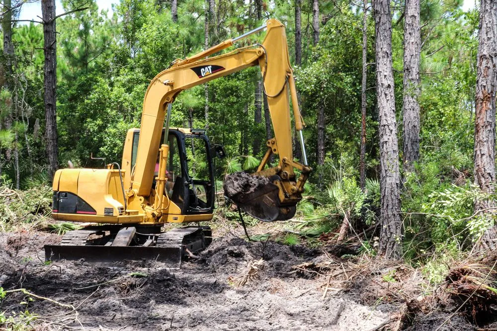 Affordable residential landscaping for residential properties in Flagler Beach, FL by Anthony's Bobcat & Tree Service