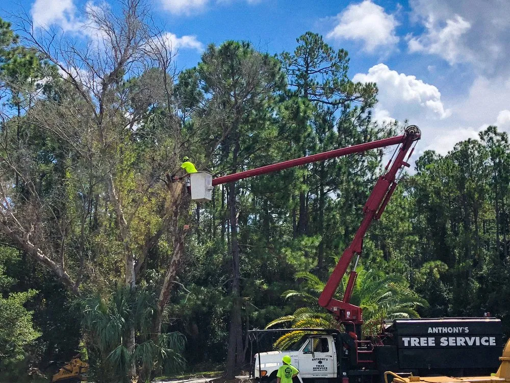 Reliable landscape installation in Flagler Beach, FL by Anthony's Bobcat & Tree Service
