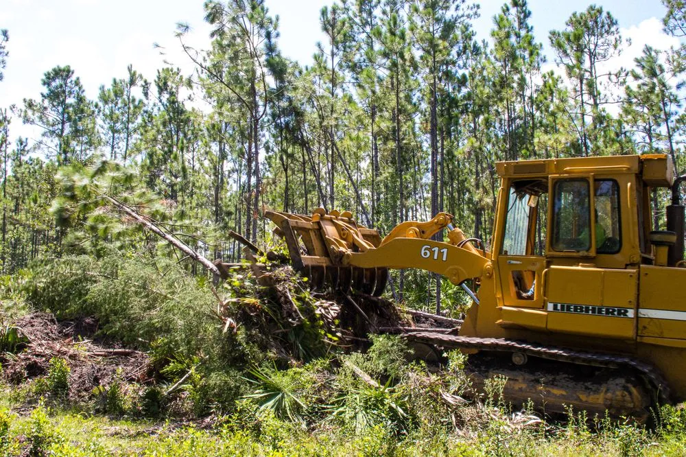 Custom landscape installation experts serving Flagler Beach, FL - Anthony's Bobcat & Tree Service