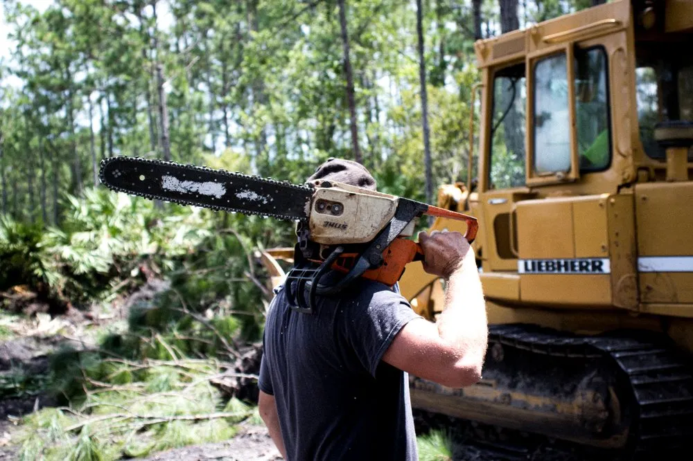 Affordable residential landscaping experts serving Flagler Beach, FL - Anthony's Bobcat & Tree Service