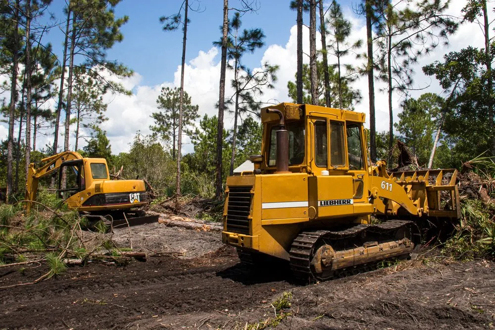Local landscape design for residential properties across Flagler Beach, FL - Anthony's Bobcat & Tree Service