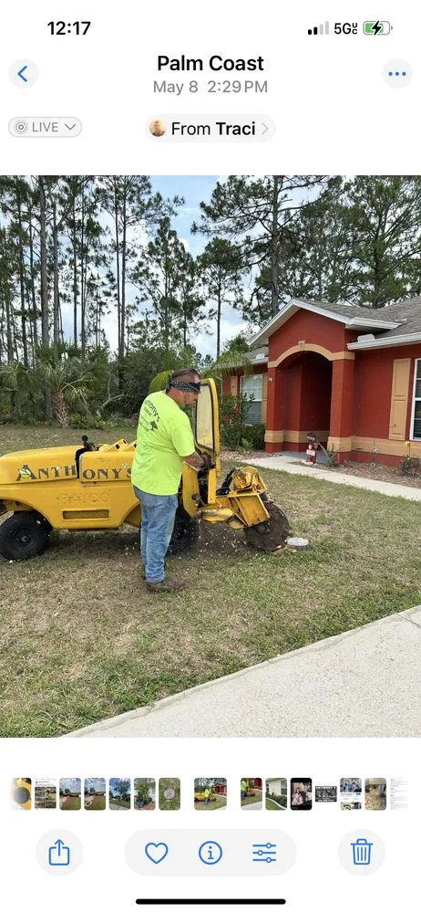 Custom landscape design in Flagler Beach, FL by Anthony’s Bobcat