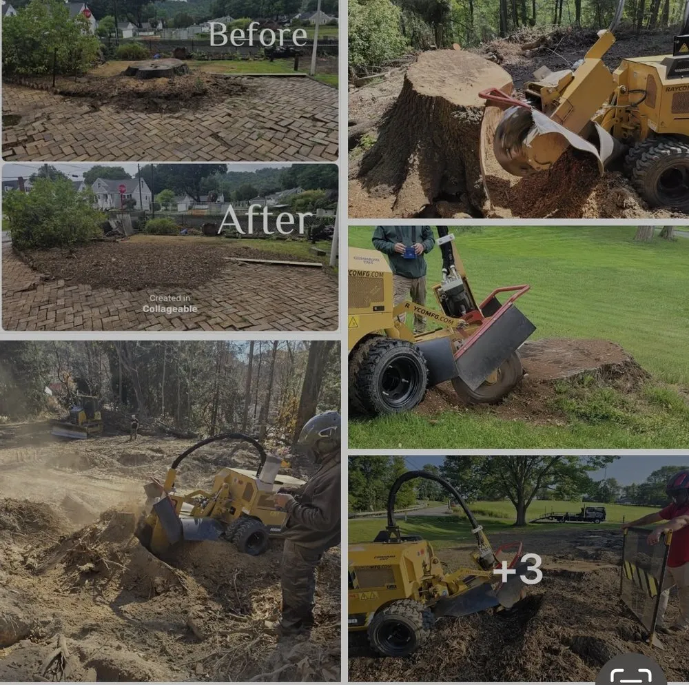 Expert lawn care service experts serving Flagler Beach, FL - Anthony’s Bobcat