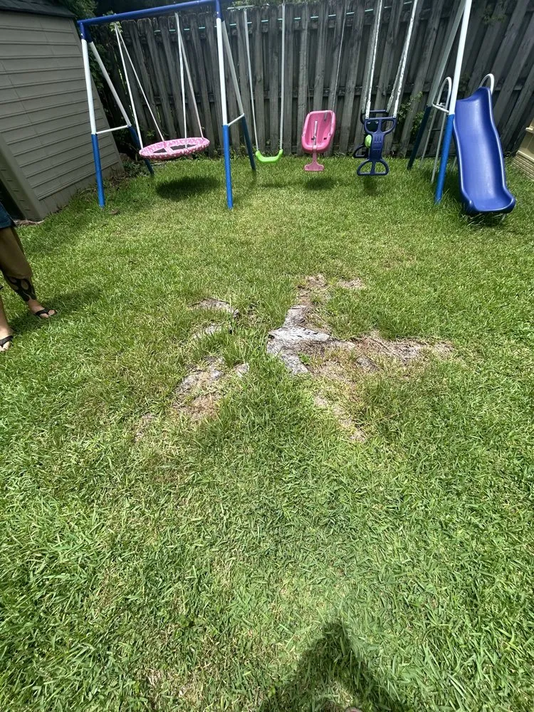 Top-rated lawn mowing service experts serving Flagler Beach, FL - Anthony’s Bobcat