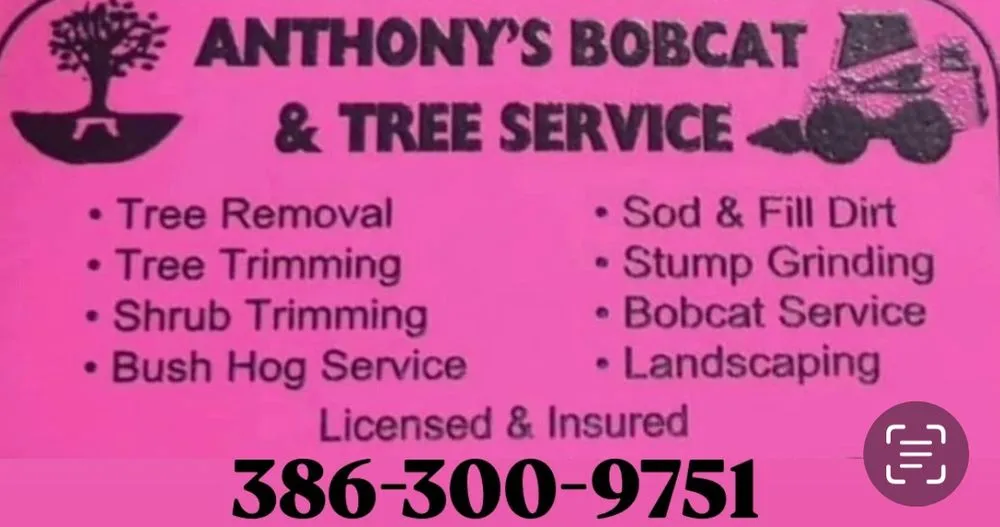 Expert landscape installation for residential properties across Flagler Beach, FL - Anthony’s Bobcat