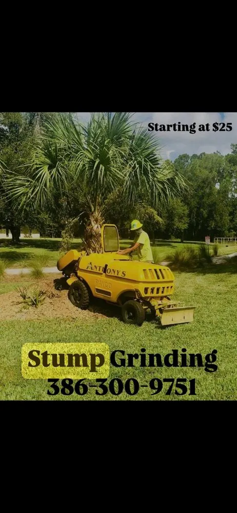 Expert landscape design experts serving Flagler Beach, FL - Anthony’s Bobcat