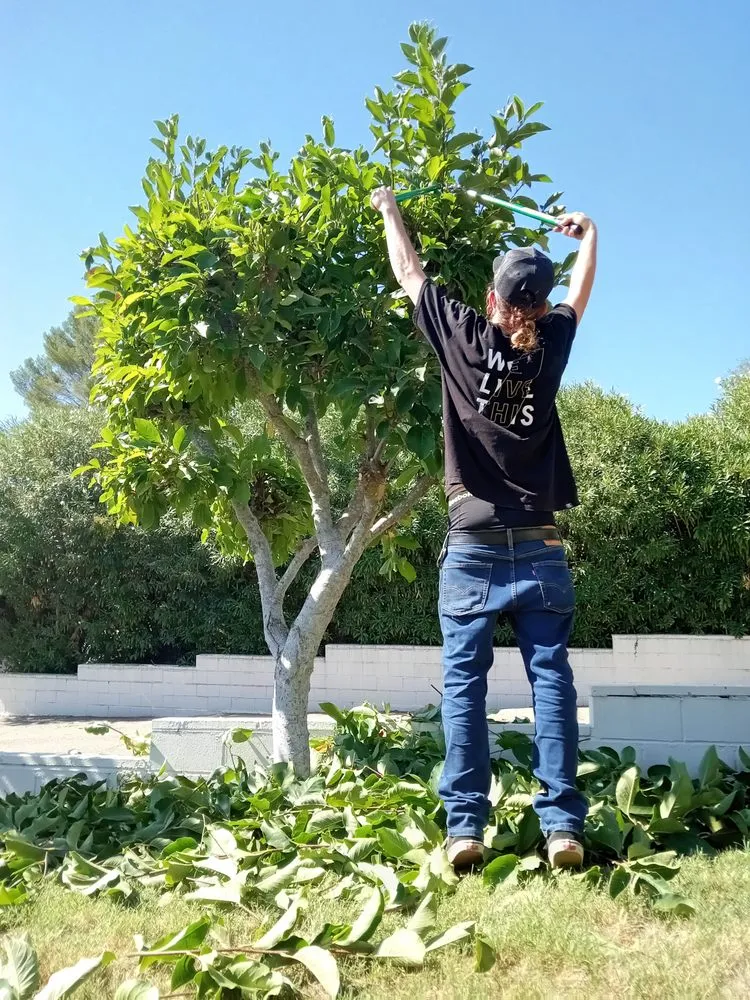 Custom landscape design in Auburn, CA - Anthony's Gutter Cleaning & More