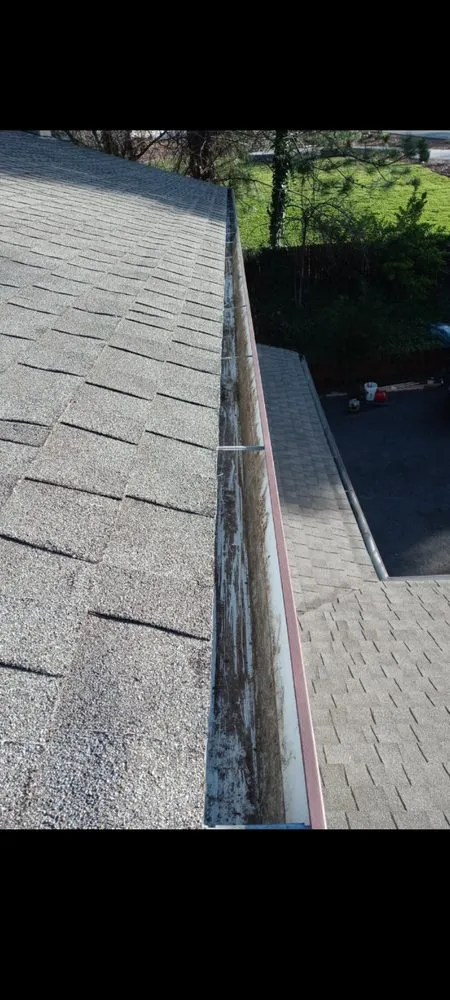 Top-rated landscape design experts serving Auburn, CA - Anthony's Gutter Cleaning & More