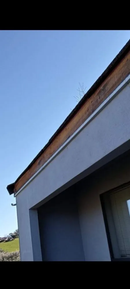 Custom lawn mowing service in Auburn, CA - Anthony's Gutter Cleaning & More