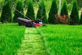 Affordable lawn care service for homes in Hayward, CA by Anthonys Handyman