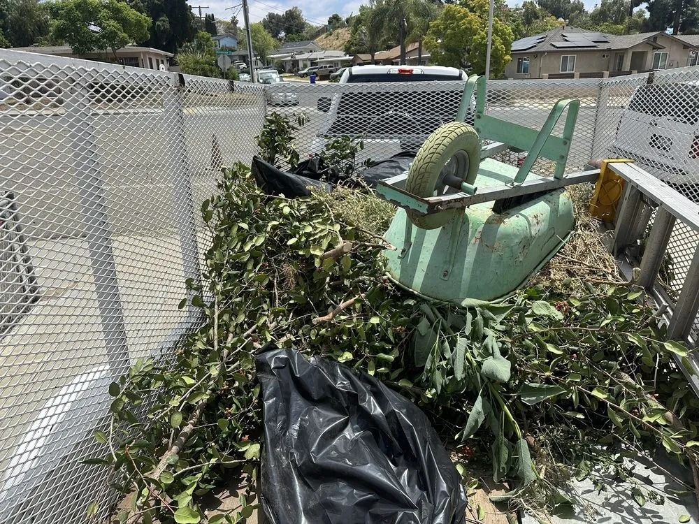 Top-rated landscape installation in Spring Valley, CA by Anthonys landcaping and hauling services
