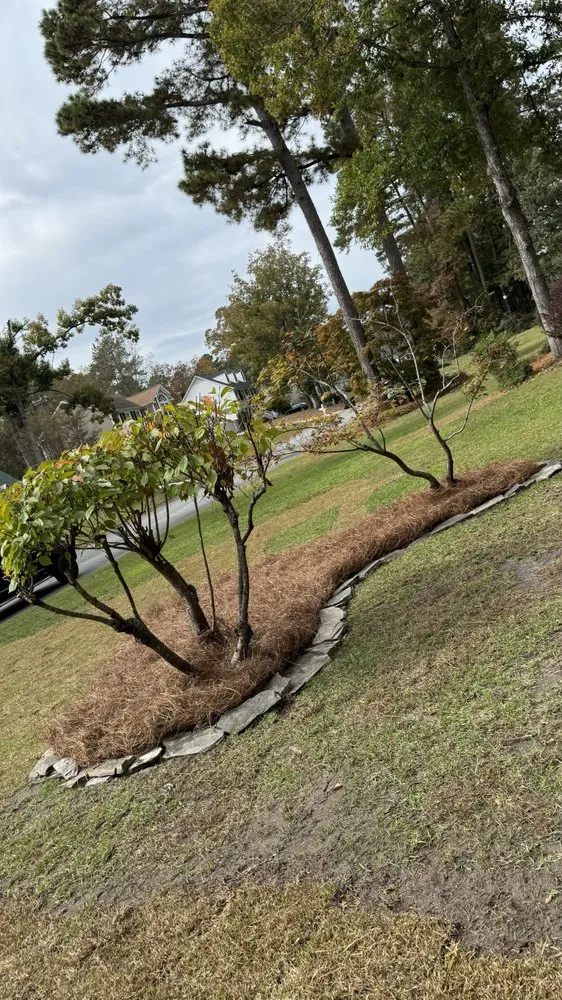 Expert landscape installation with custom design in Roseboro, NC by Anthonys Landscaping & Cleaning Service