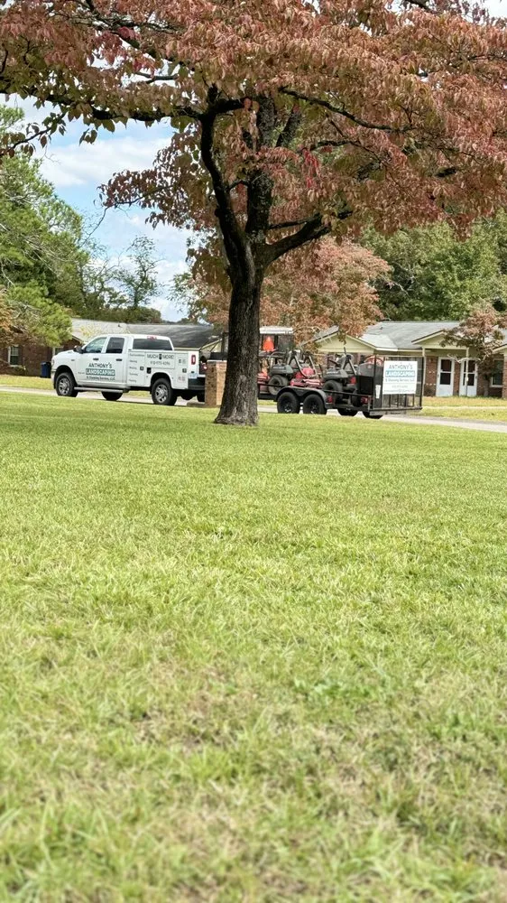 Trusted garden landscaping for year-round maintenance across Roseboro, NC - Anthonys Landscaping & Cleaning Service