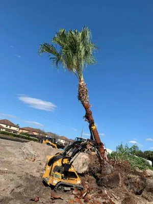 Anthony's Landscaping Logo