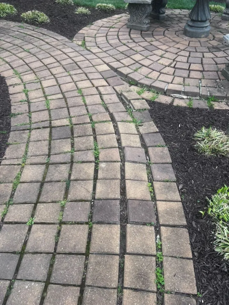 Reliable landscape installation near you in staford, VA by Anthony's Landscaping