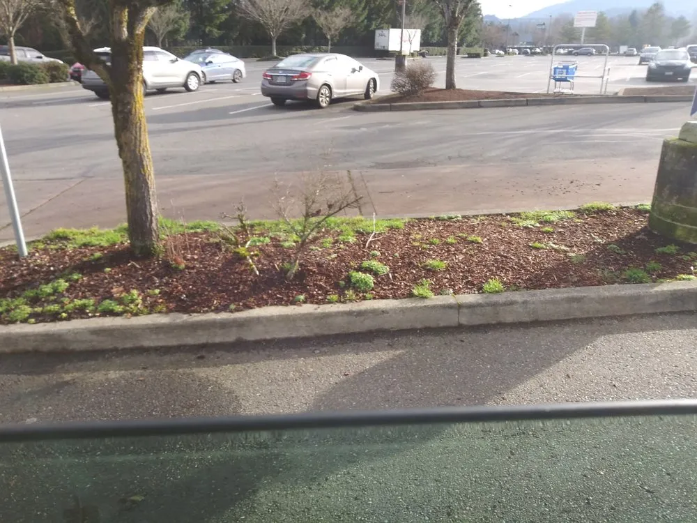 Local yard maintenance near you in Tacoma, WA by Anthonys Landscaping