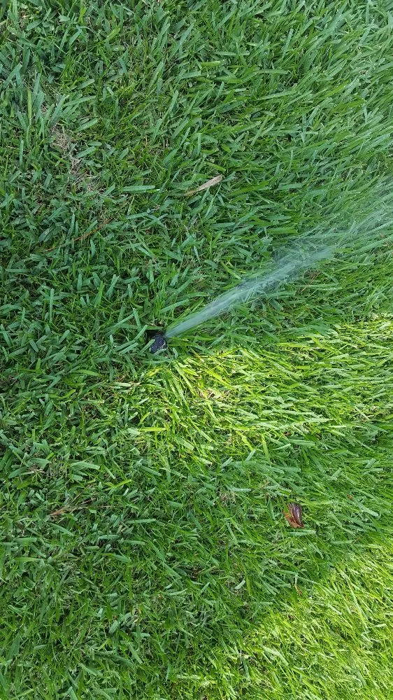 Local residential landscaping in Ocala, FL by Anthony's Lawn Care & Landscaping